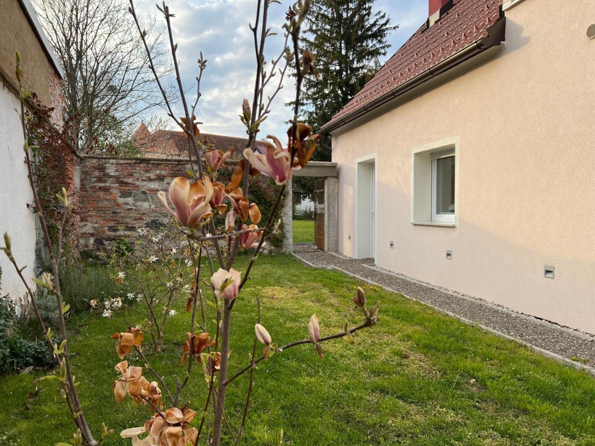 Appartement Om Yoga Center à Slovenska Bistrica Extérieur photo
