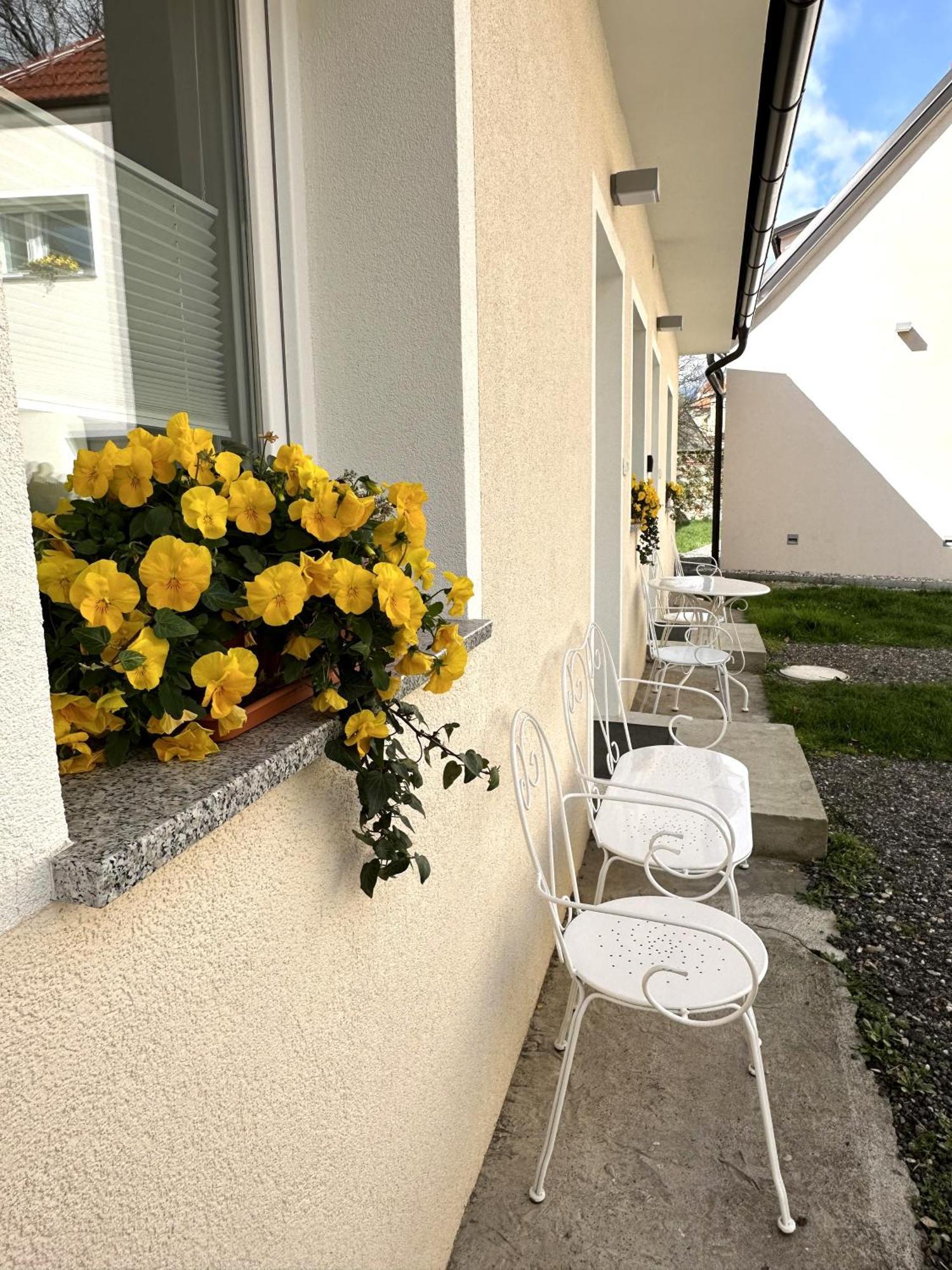 Appartement Om Yoga Center à Slovenska Bistrica Extérieur photo